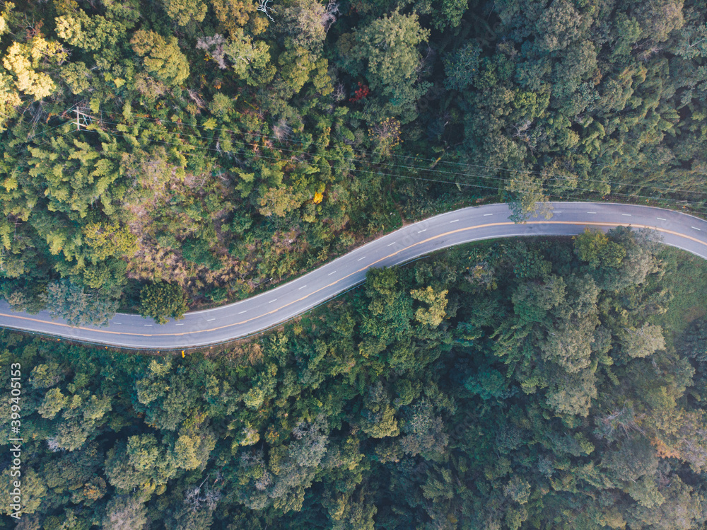 Curve asphalt road on green autumn mountain forest Payao Thailand