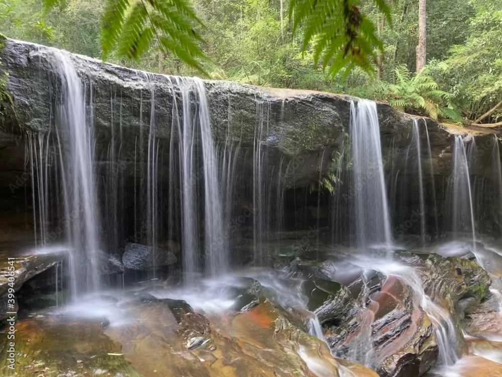Fototapeta premium waterfall in the forest