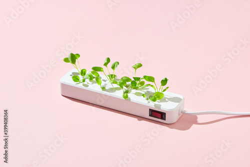 Green plug with a young green plant photo