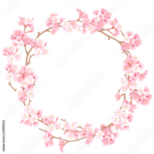 華やかな桜のサークルフレーム ベクターイラスト