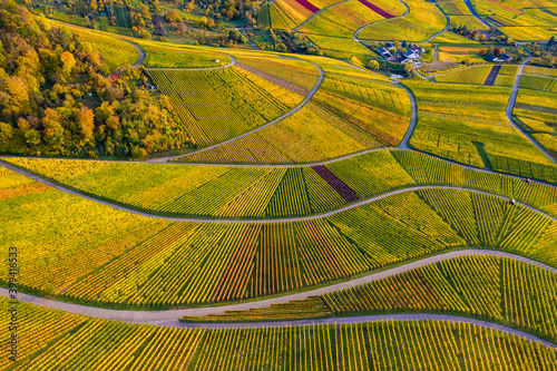 Germany, Baden-Wurttemberg, Rotenberg, Aerial view of vast countryside vineyards at autumn dusk photo