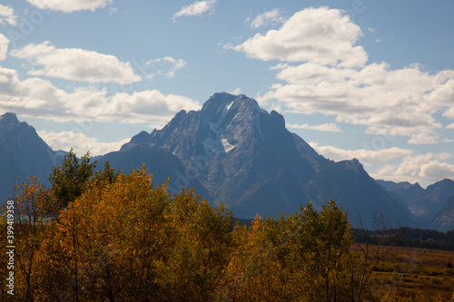 Teton mountain and Fall leaves