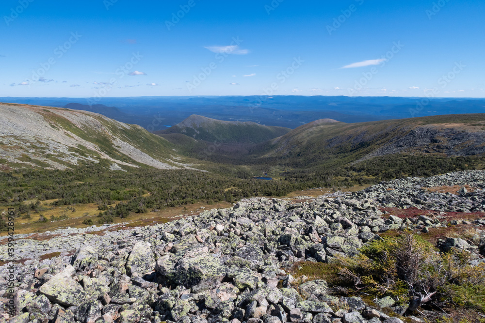 View of the toundra at the mount Jacques Cartier in the Gaspésie national park, Canada View of the toundra at the mount Jacques Cartier in the Gaspésie national park, Canada