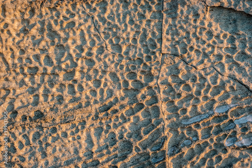 Sandstone texture. Sandstone with cells. Yellow sandstone background. Sand texture. Sandstone with cells washed by the sea. Cells in the sandstone. Shadows in cells in sandstone