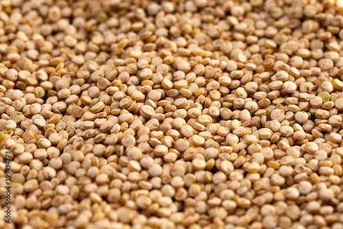 Background of Quinoa Closeup