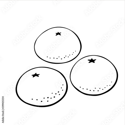 Set of Vector outline Oranges, mandarins or tangerines isolated on white. Black contour elements. Ingredients for lemonade, jam, new year or christmas design. Hand drawn doodle simple fruit clipart