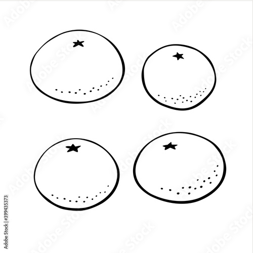 Set of Vector outline Oranges, mandarins or tangerines isolated on white. Black contour elements. Ingredients for lemonade, jam, new year or christmas design. Hand drawn doodle simple fruit clipart