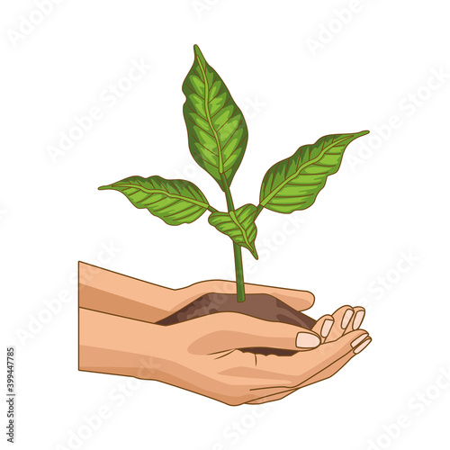 hands human lifting plant nature
