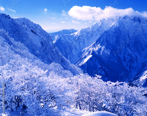Bilde på lerret Beautiful snowy mountains and rime on trees.