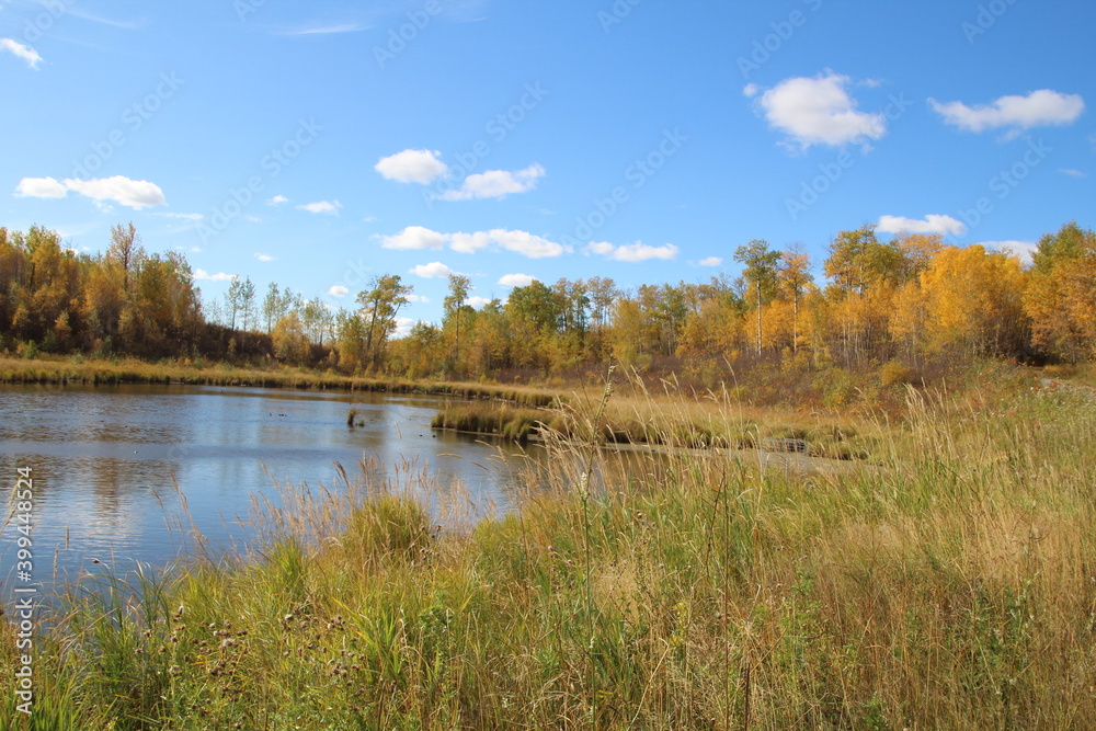Autumn At The Pond, Elk Island National Park, Alberta