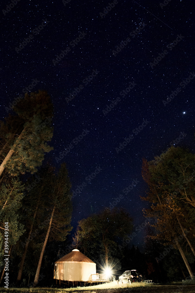 Naklejka premium night in the woods