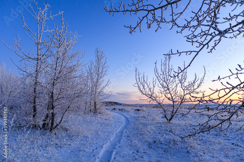 Scenic view of a snowy footpath on a cold Winter morning