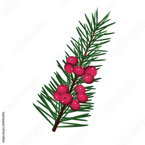happy merry christmas fir leaf tree with berries icon