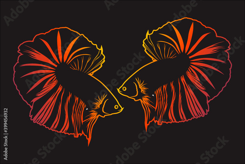 Betta fish vector line art with colorful battles. Vector illustration. Mojokerto, December 15th.