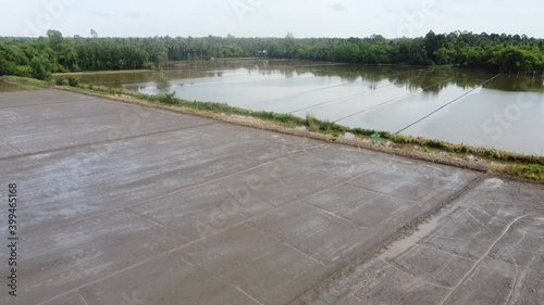 Wallpaper Mural Flying storks Happy together in the field has been burned Torontodigital.ca