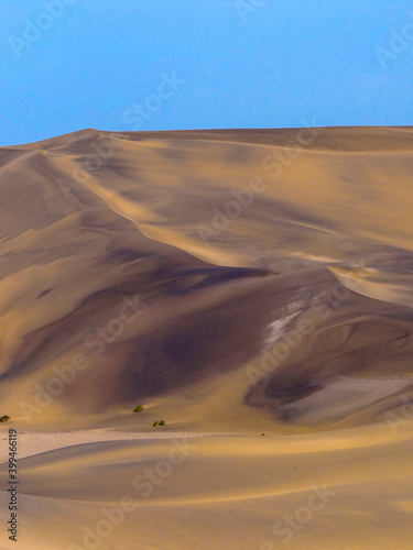 Photograph of a sand dune in the Namib Desert