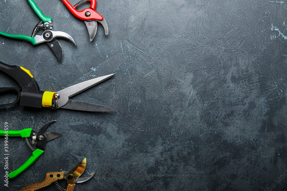 Pruners for gardening on dark background Pruners for gardening on dark background