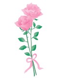 リボンのついたピンクのバラ2輪のイラスト