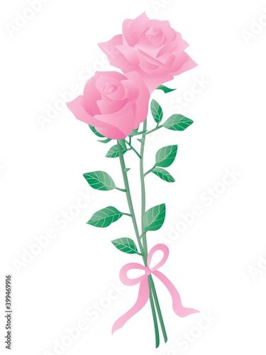 リボンのついたピンクのバラ2輪のイラスト