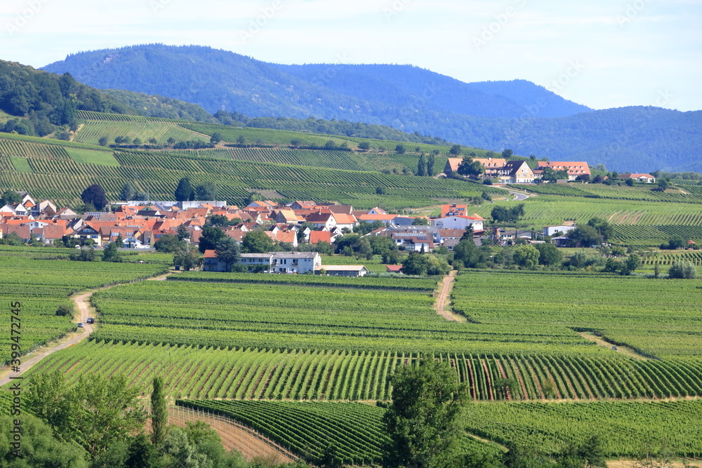 View from the vineyards to Klingenmuenster on the german wine route in the palatinate