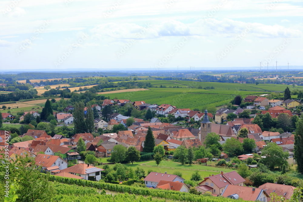 Obraz premium View from the vineyards to Pleisweiler on the german wine route in the palatinate