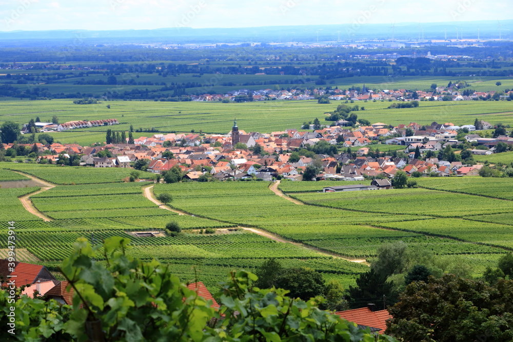 View from the vineyards around the villages rhodt unter rietburg, Hainfeld, Burrweiler, Weyher, Edenkoben, Edesheim on the german wine route in the palatinate