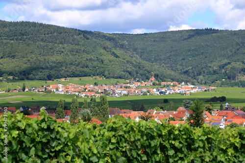 View from the vineyards around the villages rhodt unter rietburg, Hainfeld, Burrweiler, Weyher, Edenkoben, Edesheim on the german wine route in the palatinate photo