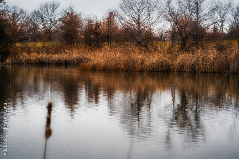 View of Midwestern lake in winter with dry grass and bear trees reflecting in order