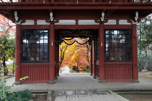 千葉県松戸市の本土寺の紅葉　日本