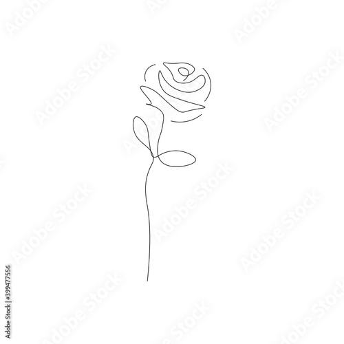 Rose flower drawing on white background. Valentines day design, vector illustration