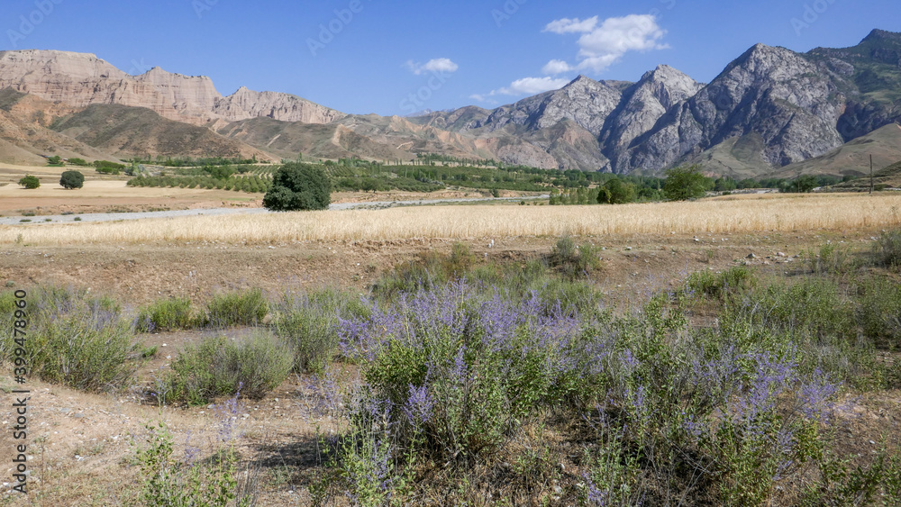Fototapeta premium Mountain landscape in Mazar-i-Sharif countryside near Panjakent in Sughd region of Tajikistan