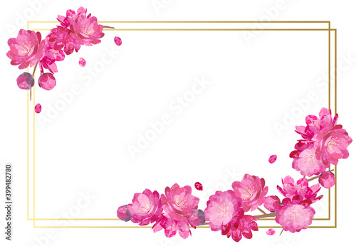 Peach Blossom  background frame spring hinamatsuri