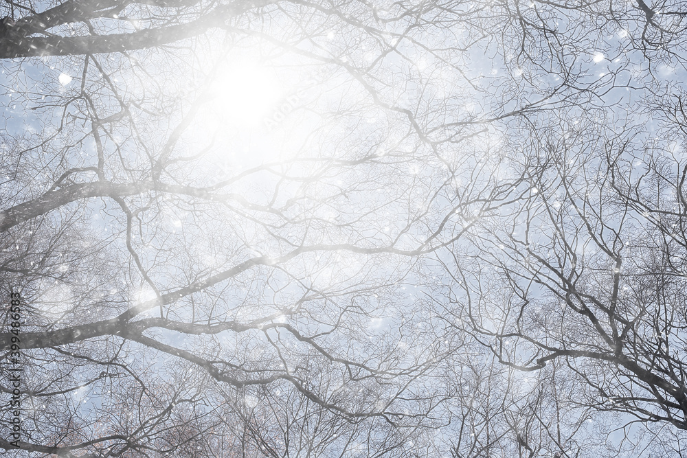 first snow in the park abstract new year view first snow in the park abstract new year view