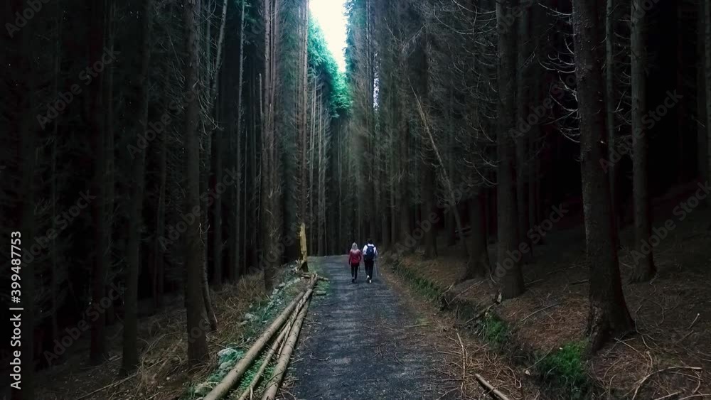 Pareja paseando por el bosque Pareja paseando por el bosque