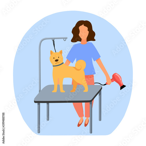 Styling and grooming professional barber in pet hair salon. Groomer woman caring of dog hair - dryer. Vector illustration in cartoon style. Design for poster, banner, flyer, web.