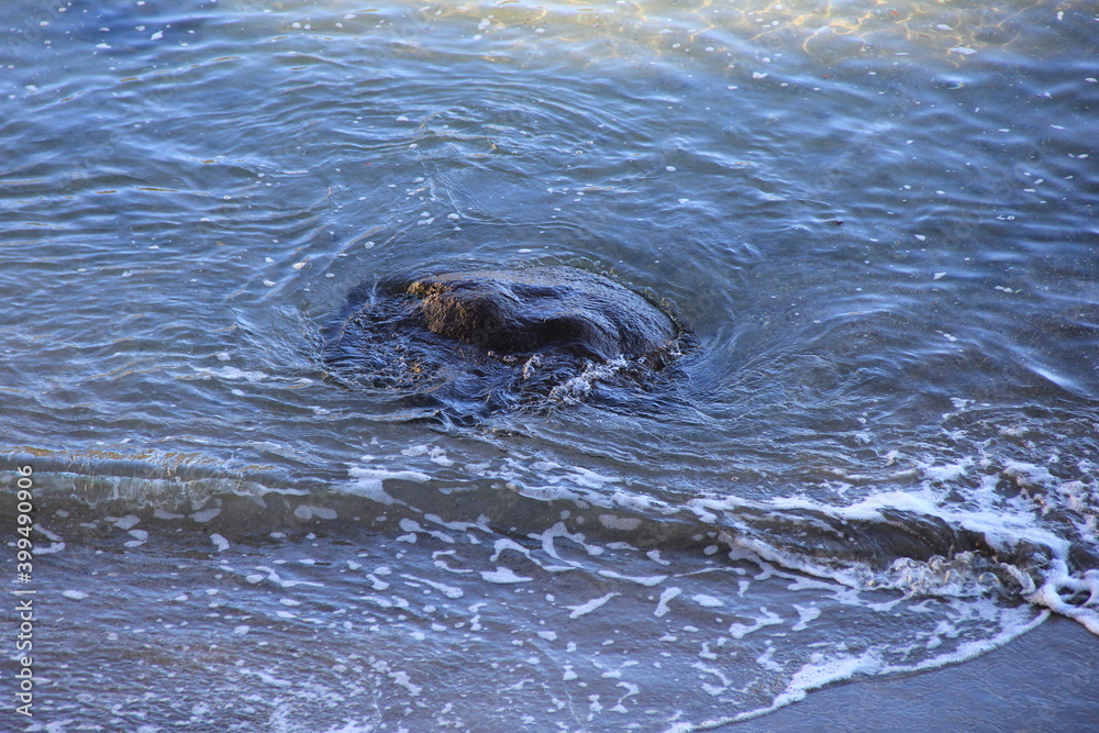 Obraz premium わずかに出た岩の為に水の流れが乱れている海面