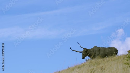 Rakvere Estonia 2020 August 30: The bull structure on top of the hill in Rakvere Estonia with the green grases on the hill photo