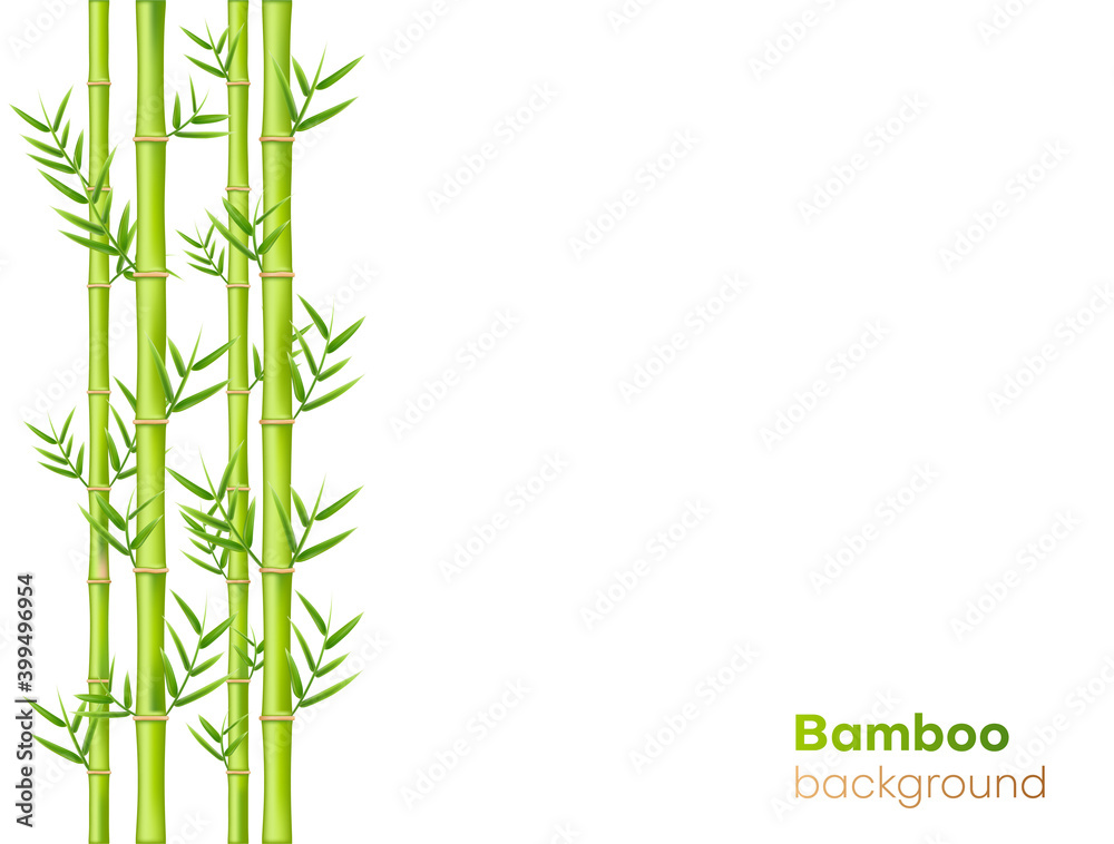 Naklejka premium Bamboo background design, natural green oriental decoration
