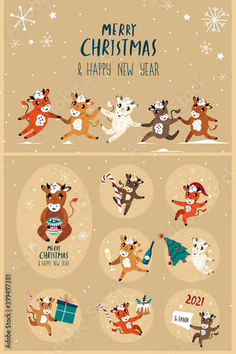 Set of Cute Cartoon Ox  Cows Greeting Cards.New year Cattle with Christmas Festive Attributes.Chinese New Year 2021 Symbol.Holiday Animals Set.Design of Calendars Cards Advertising.Vector illustration