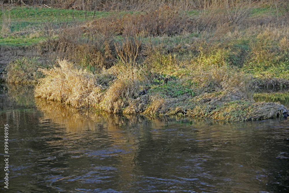 Flussufer im Winter