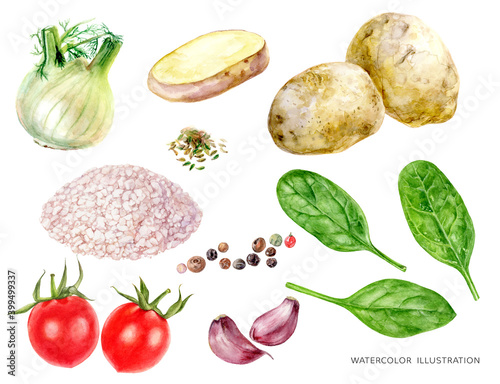 Potato garlic salt fennel spinach tomatoes food set watercolor illustration isolated on white background