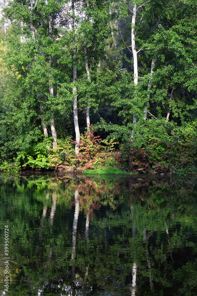 Fototapeta premium A lake with a forest in Chisinau, Moldova