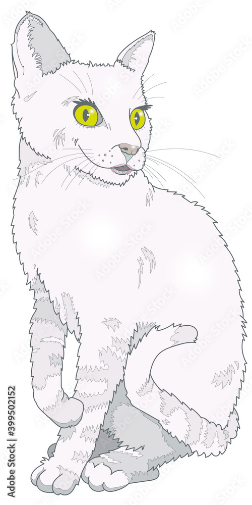 Chatte blanche Chatte blanche