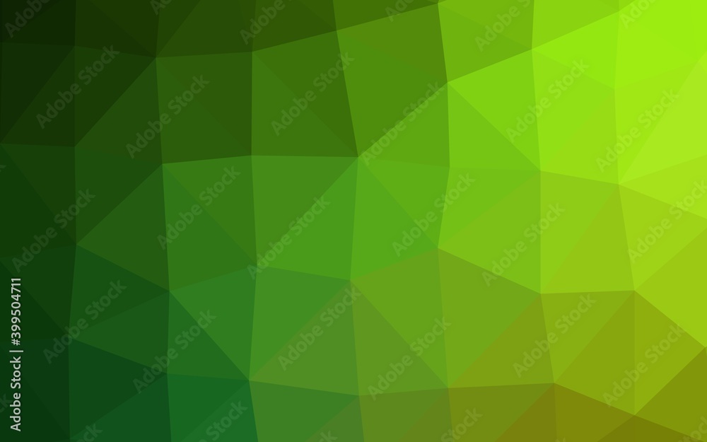 Light Green vector polygonal background. Light Green vector polygonal background.