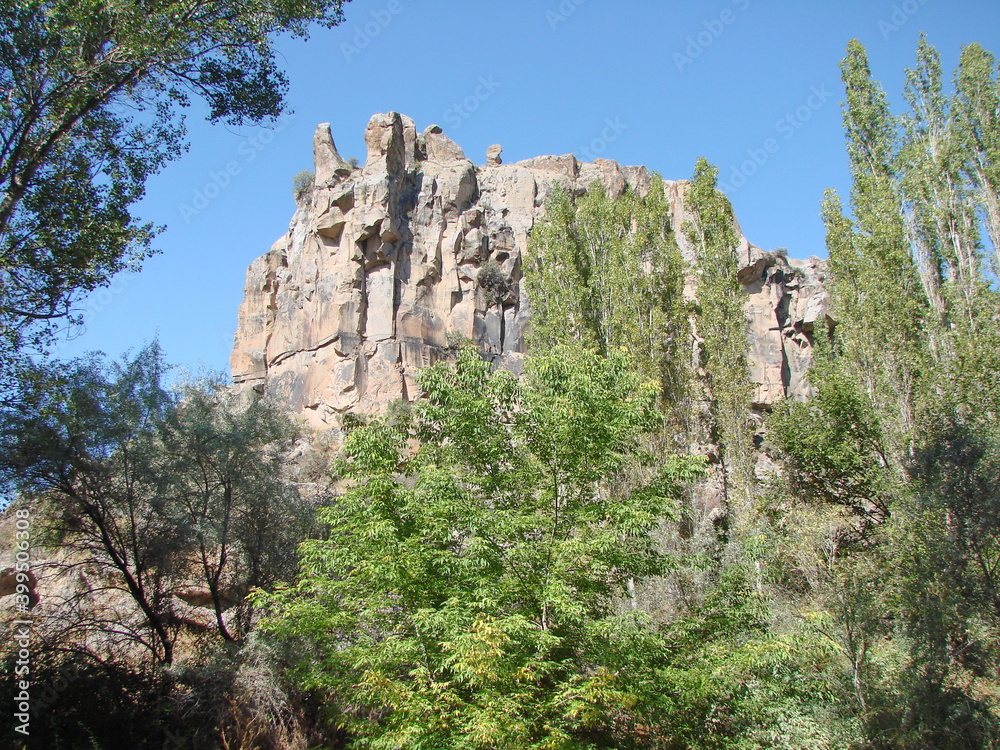 Panorama of impregnable rocks of the canyon surrounded by dense green vegetation under the rays of the midday sun.