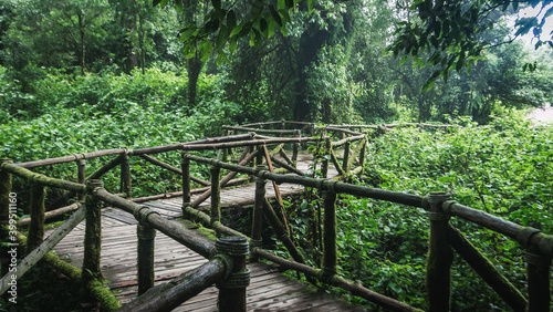 Wooden walkway in the Doi Inthanon rainforest - Chiang Mai, Thailand