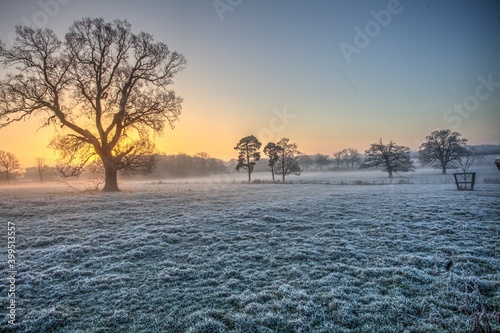 Misty and frosty sunrise in an English parkland.