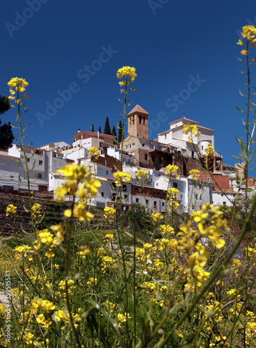 Pueblo de Andalucia 