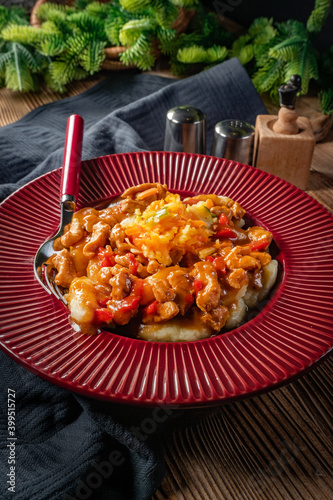 Canvas Print Chicken fricassee with noodles and salad.