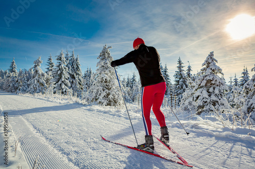 Bild auf Leinwand cross-country skiing